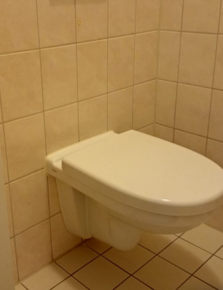 Hang toilet