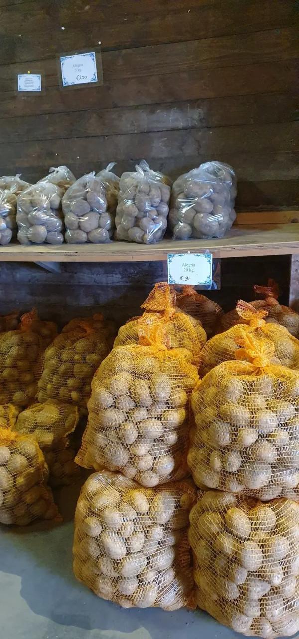 Aardappels te koop
