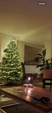 Triumph Kunst Kerstboom