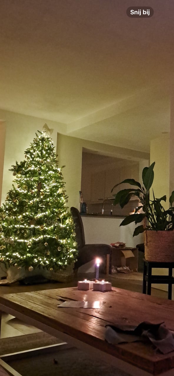 Triumph Kunst Kerstboom