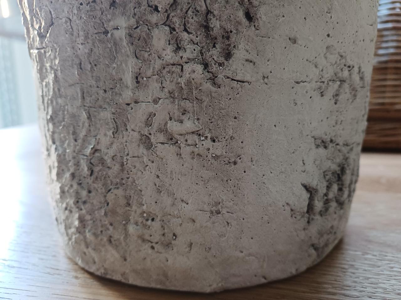Als NIEUW: Sobere, stoere BINNEN POT nu met GRATIS PLANT