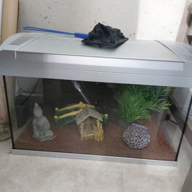 Aquarium