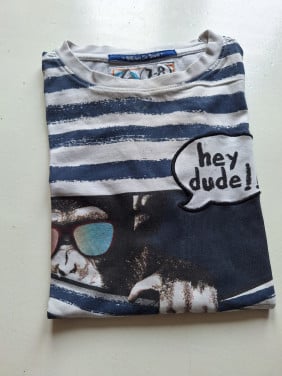 T-shirt