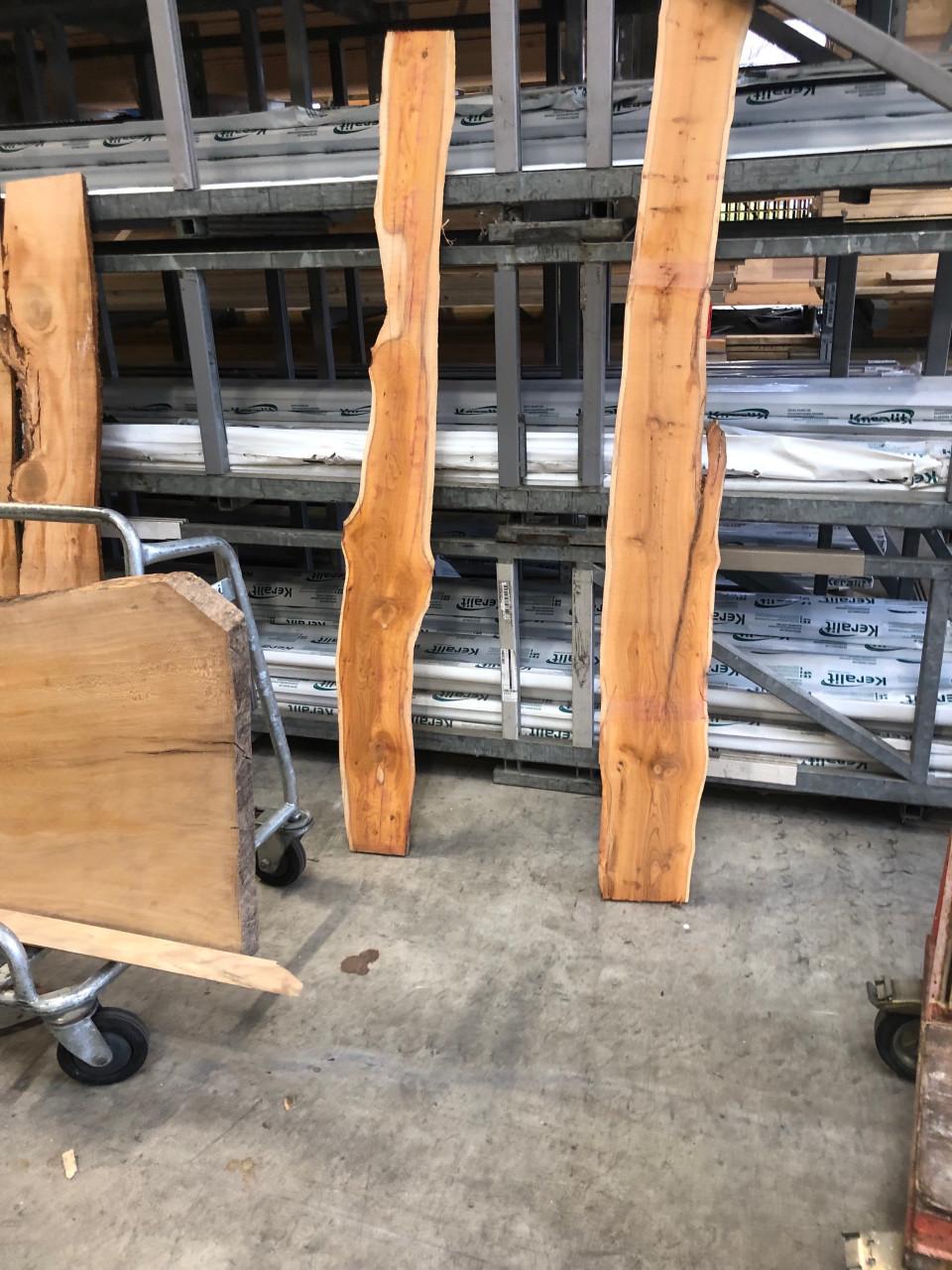 2 taxus boomstam planken voor 10 euro gereserveerd