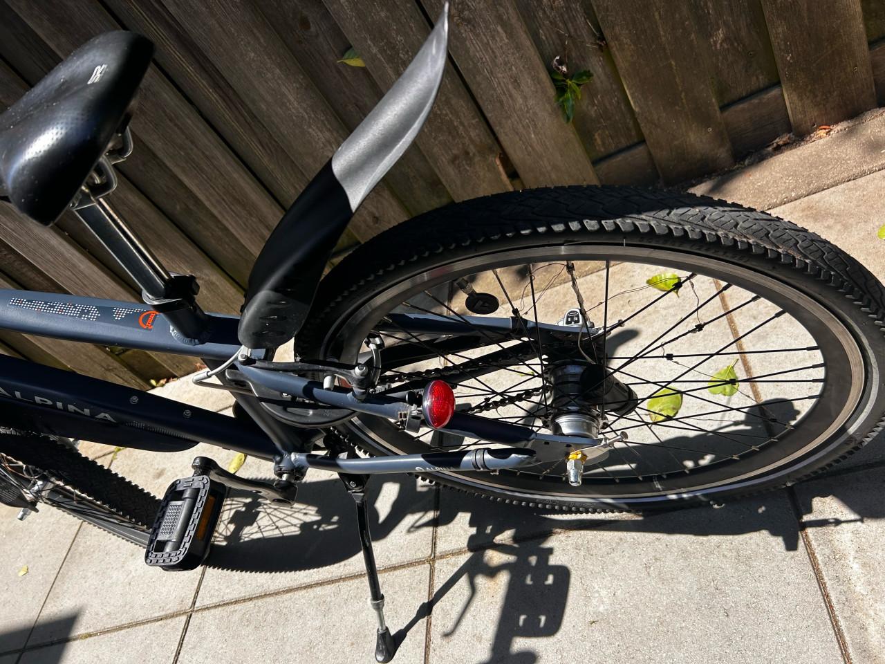 Alpina Trial 24”