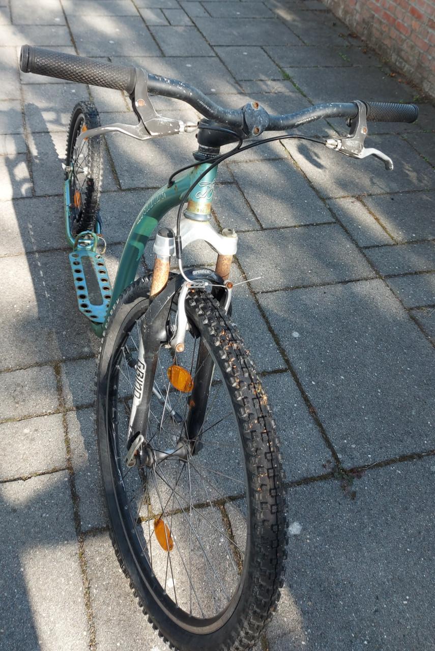 KICKBIKE  -  grote step