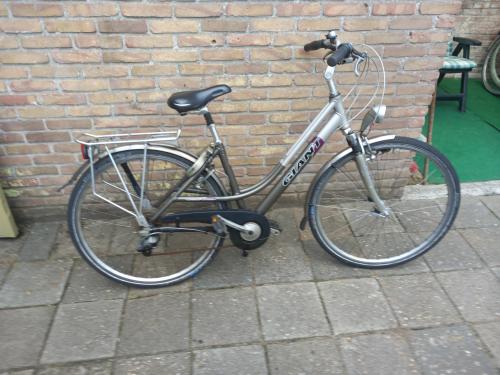 Giant custom damesfiets