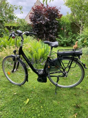 Damesfiets, electrisch