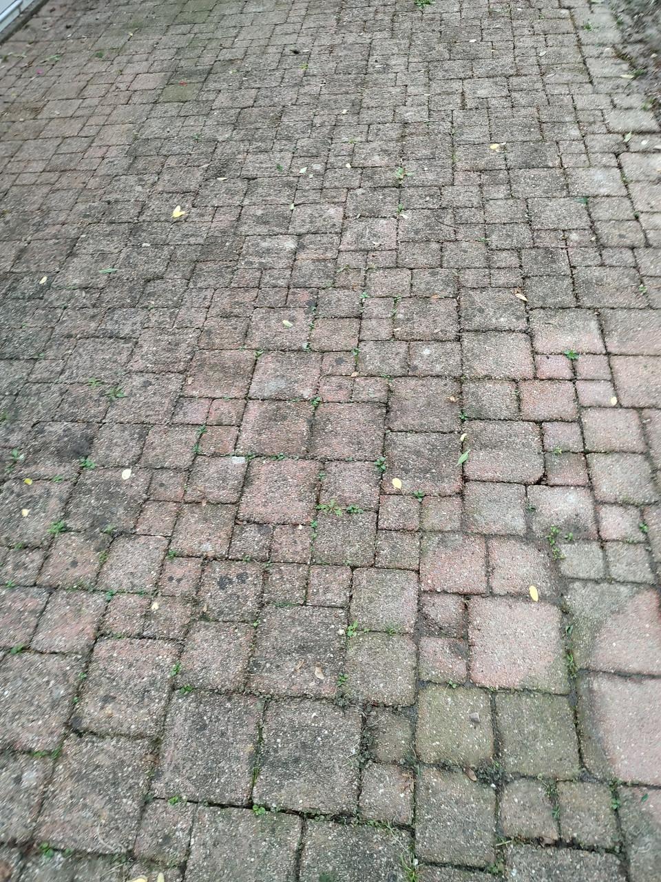 Terrastegels