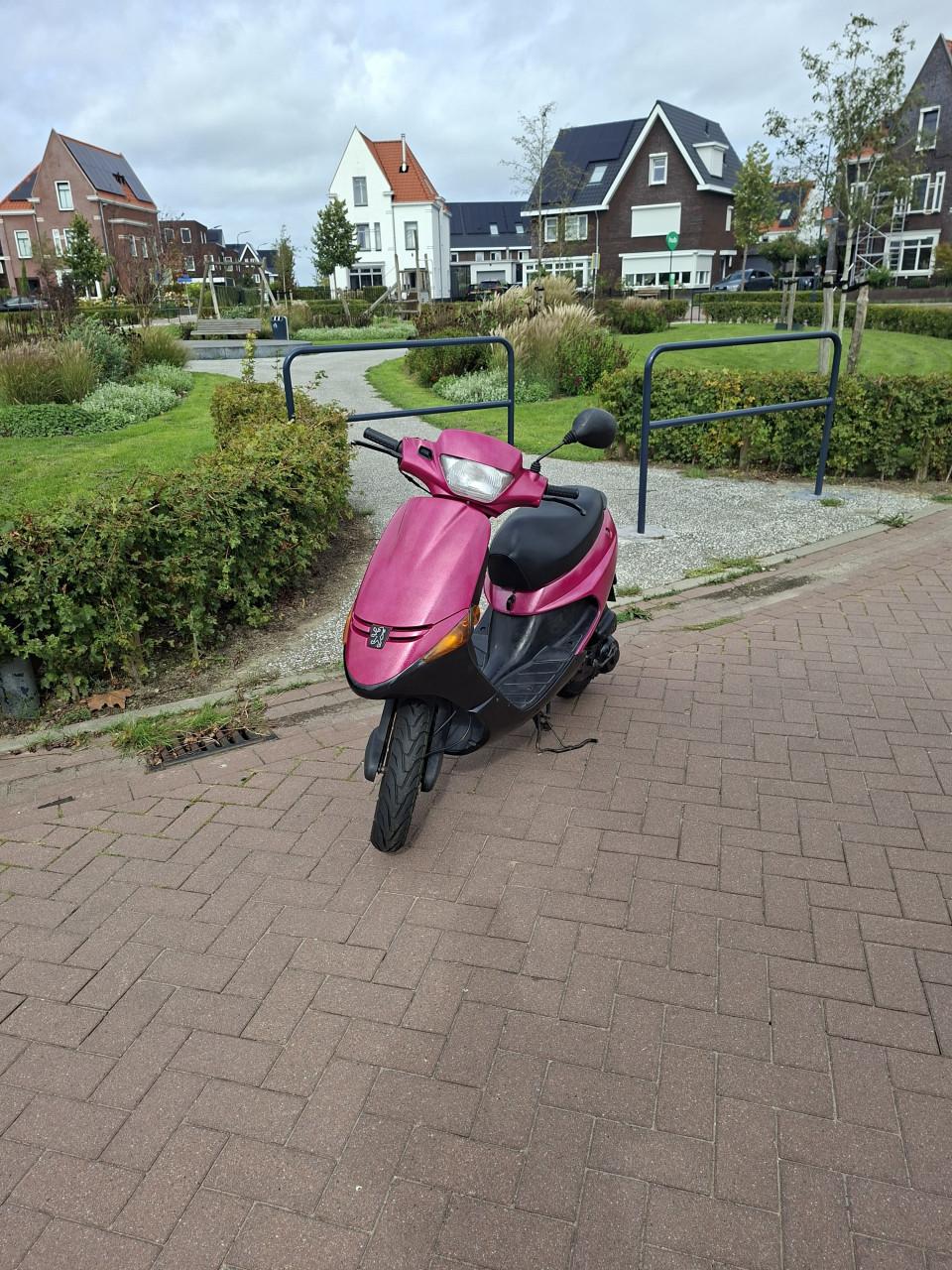 Peugeot Zenith