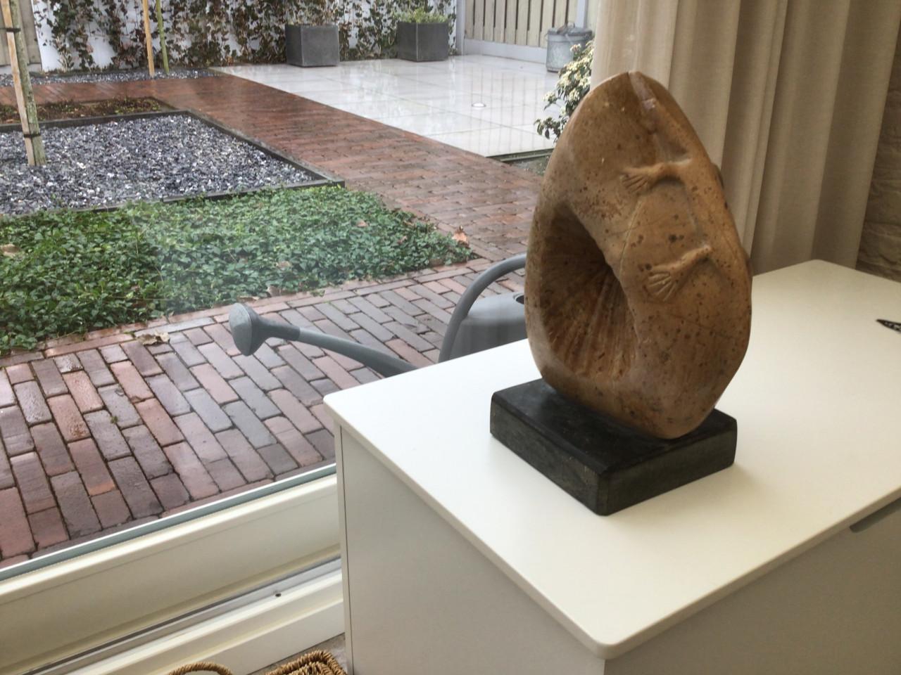 Afrikaanse sculptuur van Hagedis