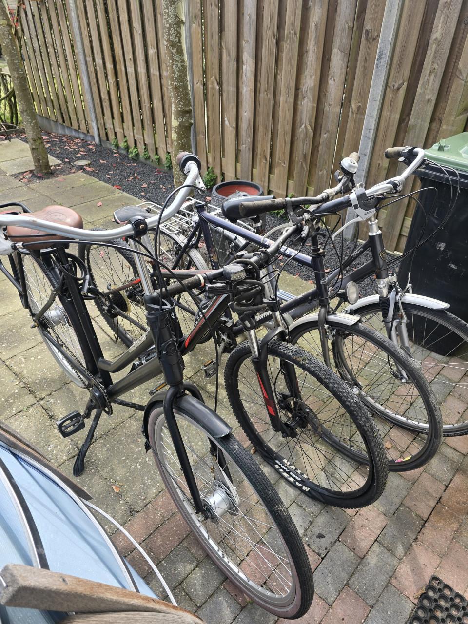 Fietsen Koga, Merida, Batavus, Gazelle