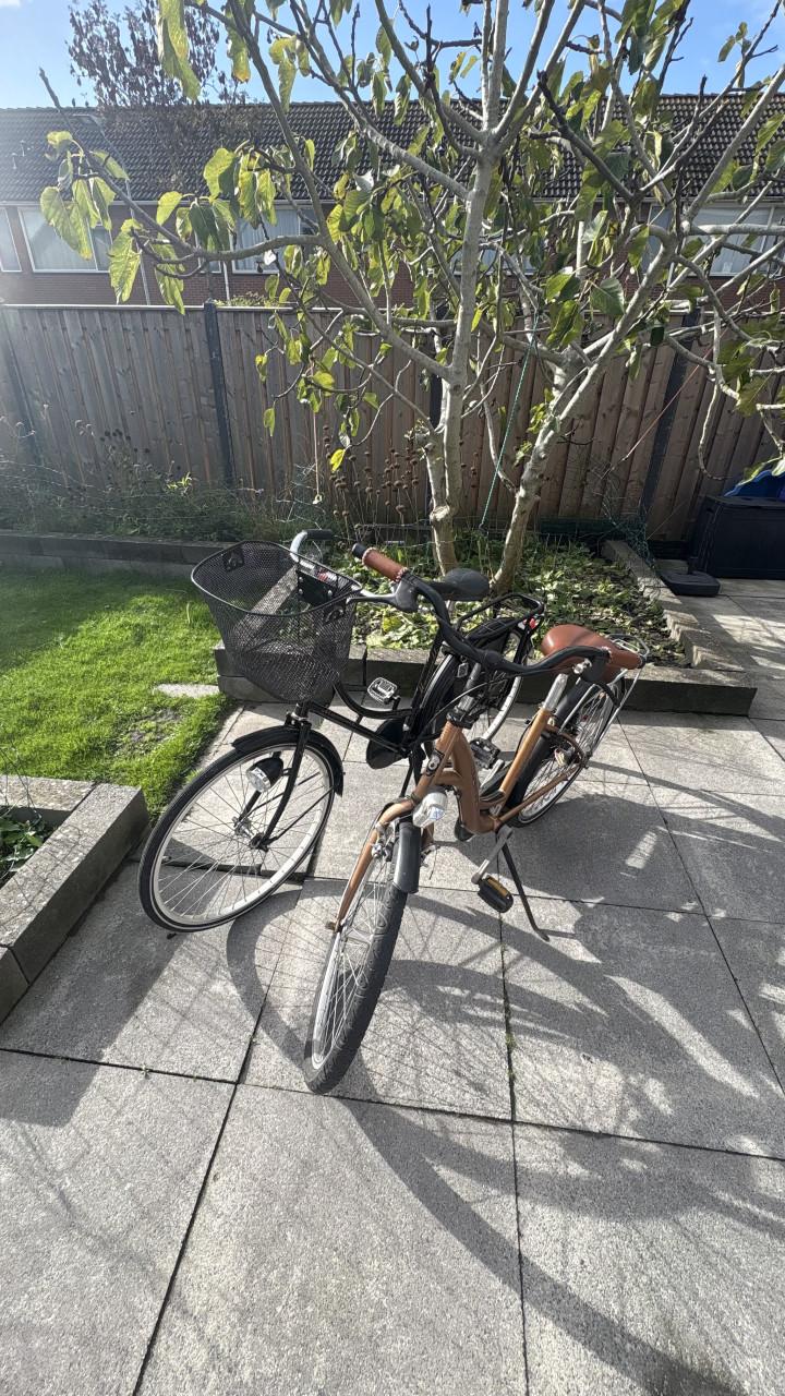 Twee 24 inch meisjesfietsen