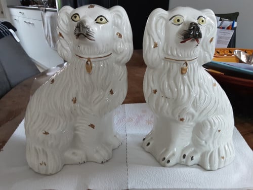 2  hondjes