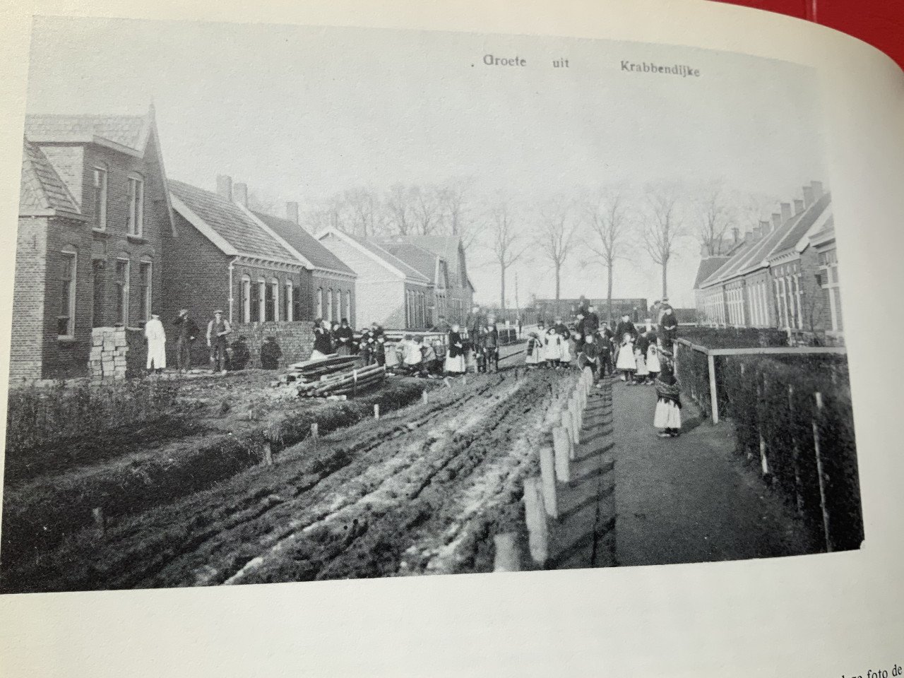 Krabbendijke