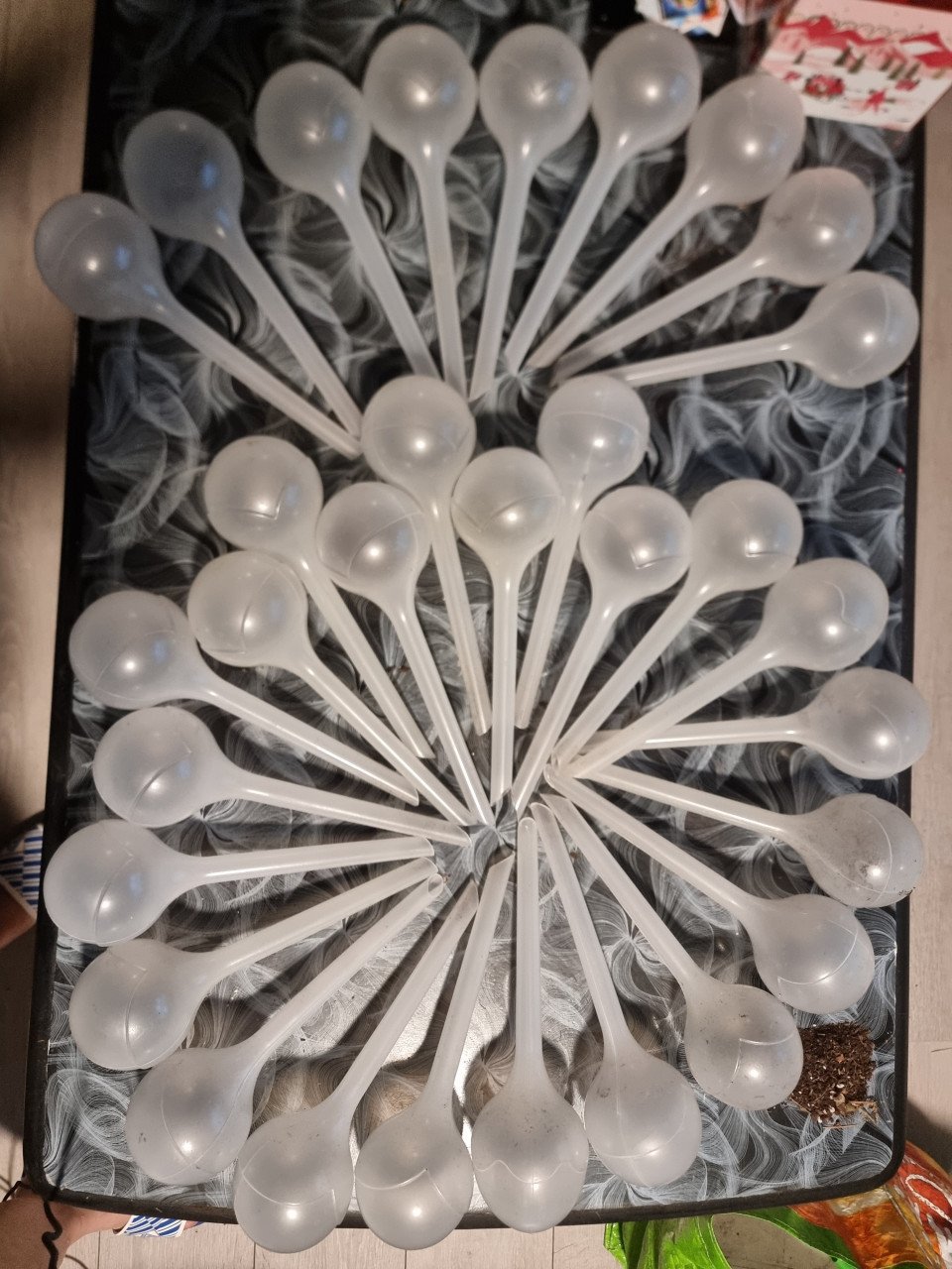 31 wateringsbollen