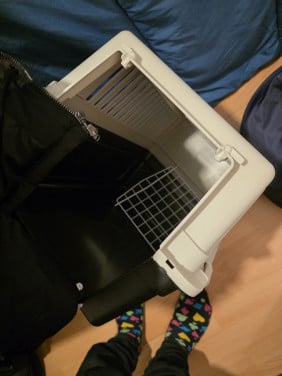 Gratis katten reismand