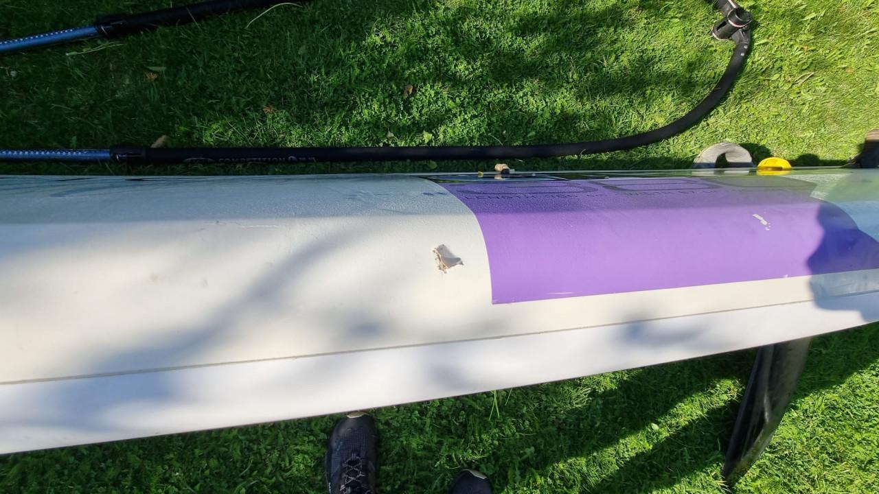 Surfplank Fanatic mega cat