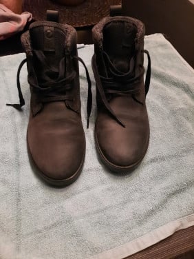 Schoenen ecco