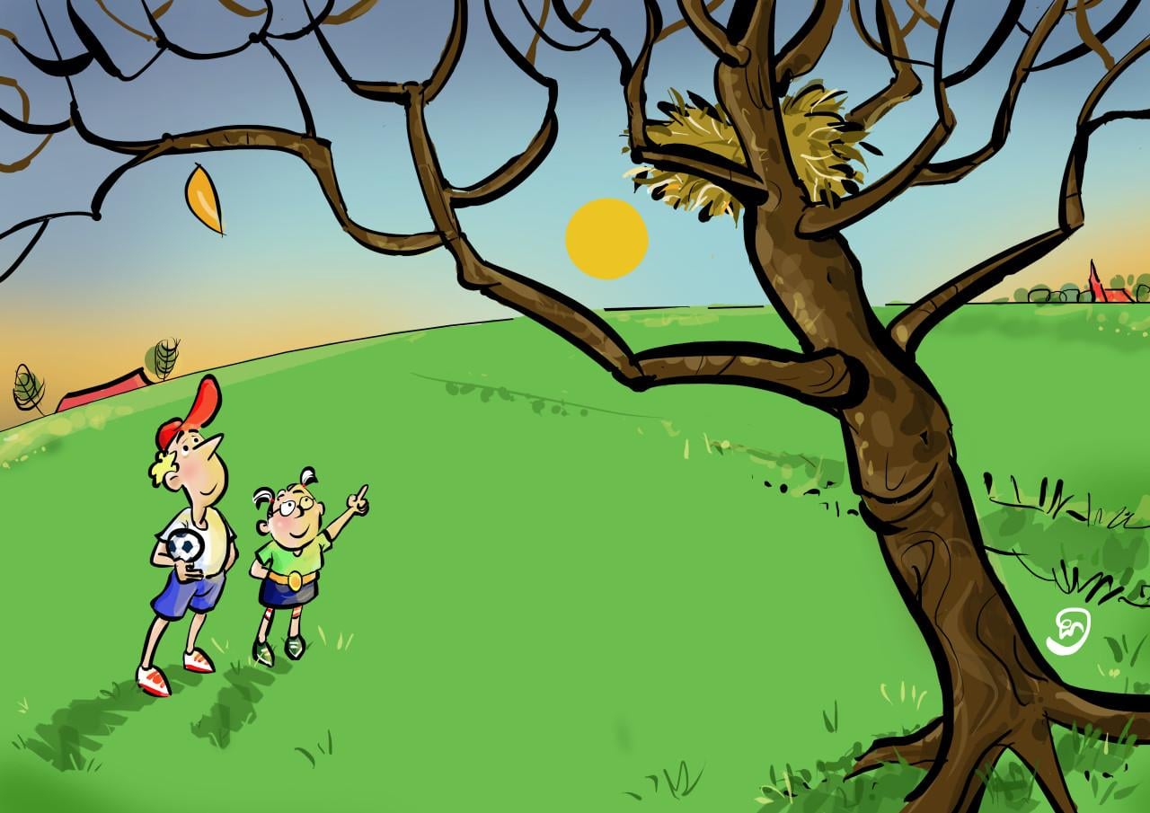 Illustratie of cartoon gezocht?