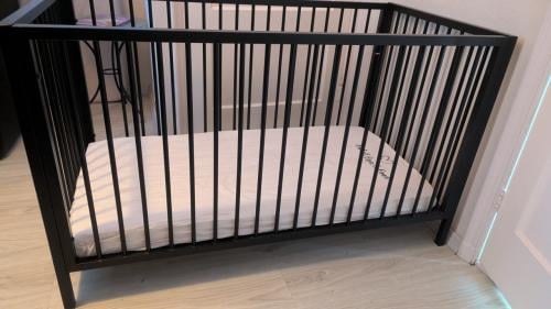 Kinderledikant