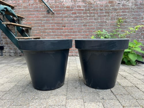 Tuinpot