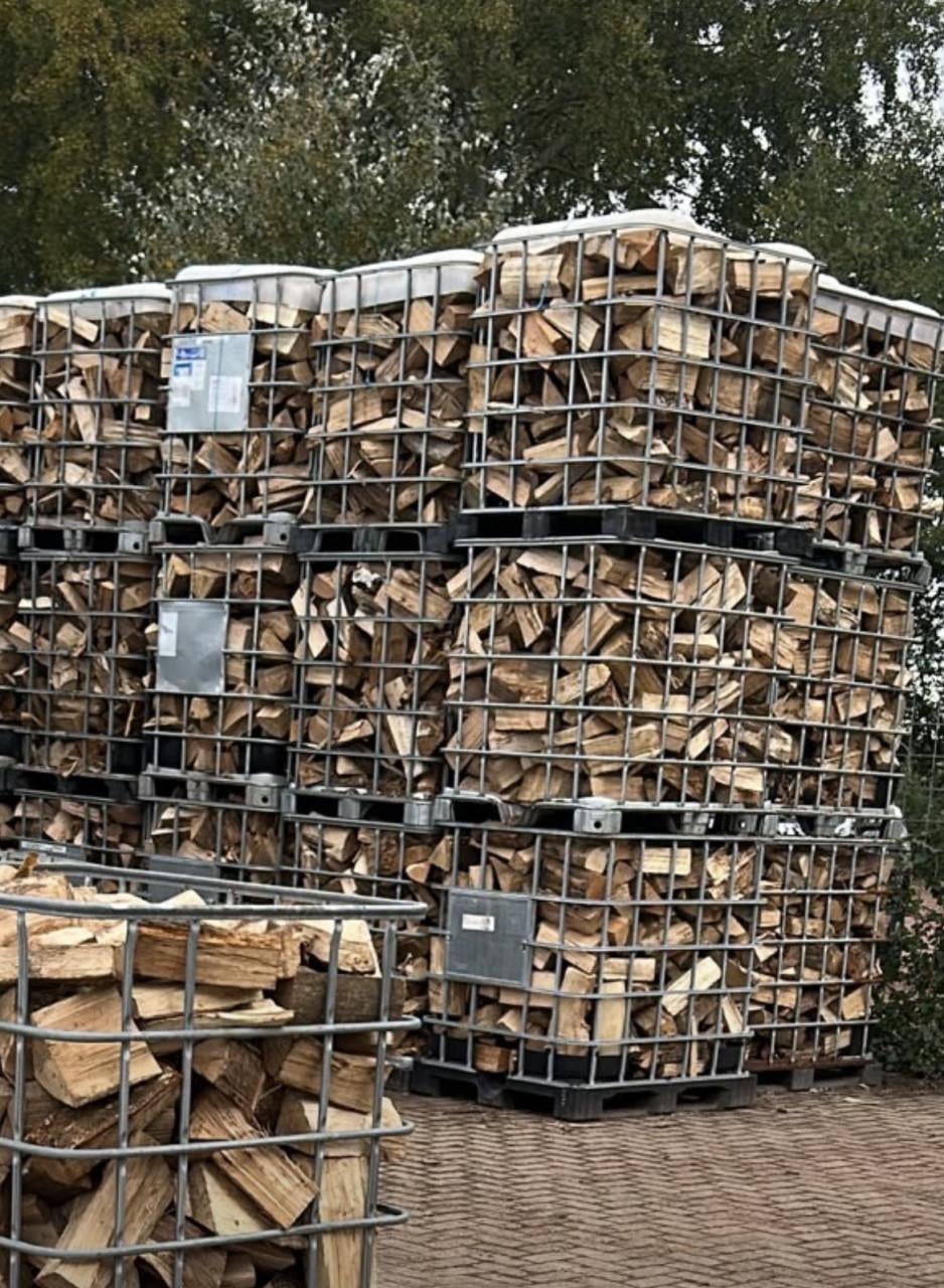 Haardhout es eik beuk