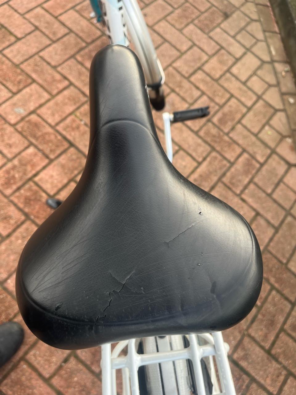 Gazelle Orange Plus 28 inch maat 53 7v