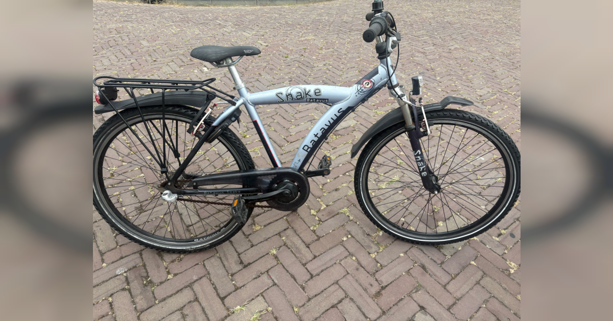Baby Pythem Batavus Snake jongensfiets 26 inch