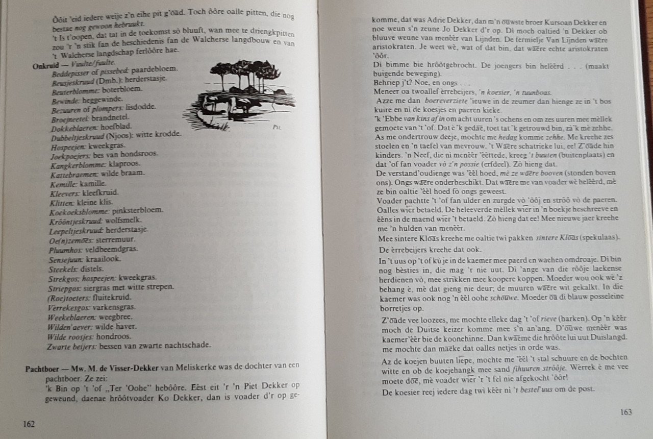 Dialect op Walcheren, door E.J. van den Broecke-de Man en A. Francke.