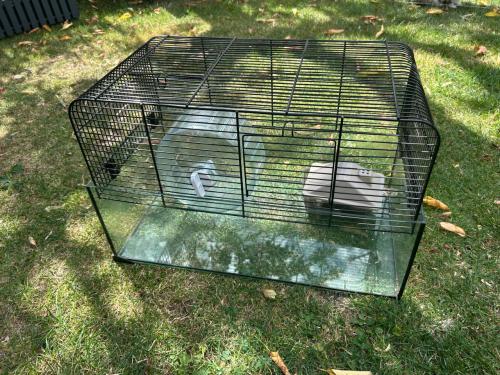 Hamsterkooi
