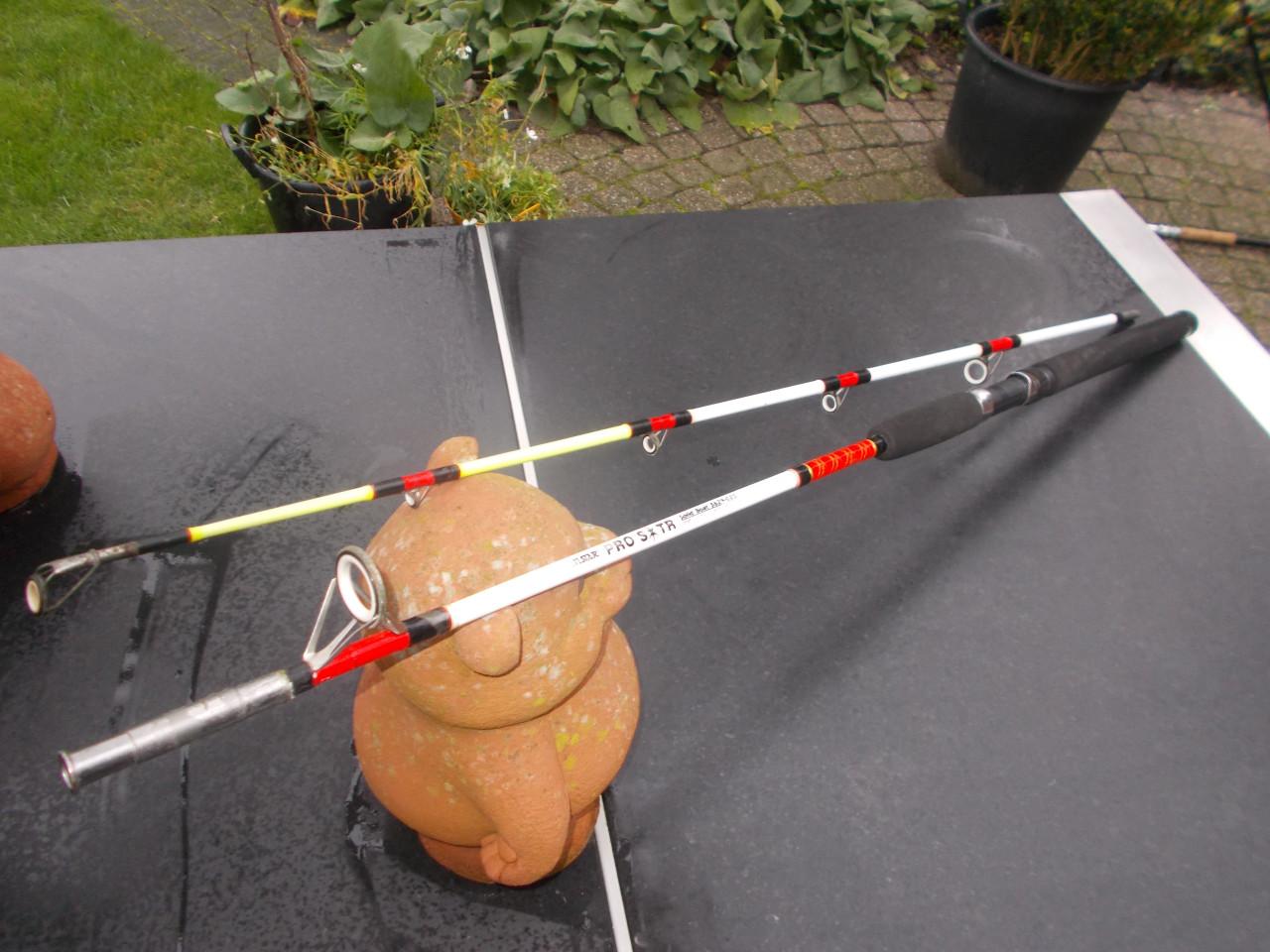 Tweedelige boothengel SILSTAR PRO SOLID, 210 cm