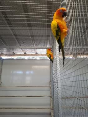 Openingstijden tijdens de komende feestdagen