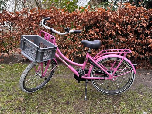Meisjesfiets - 20 inch - Alpina Cargo Fuchsia Pink Matt