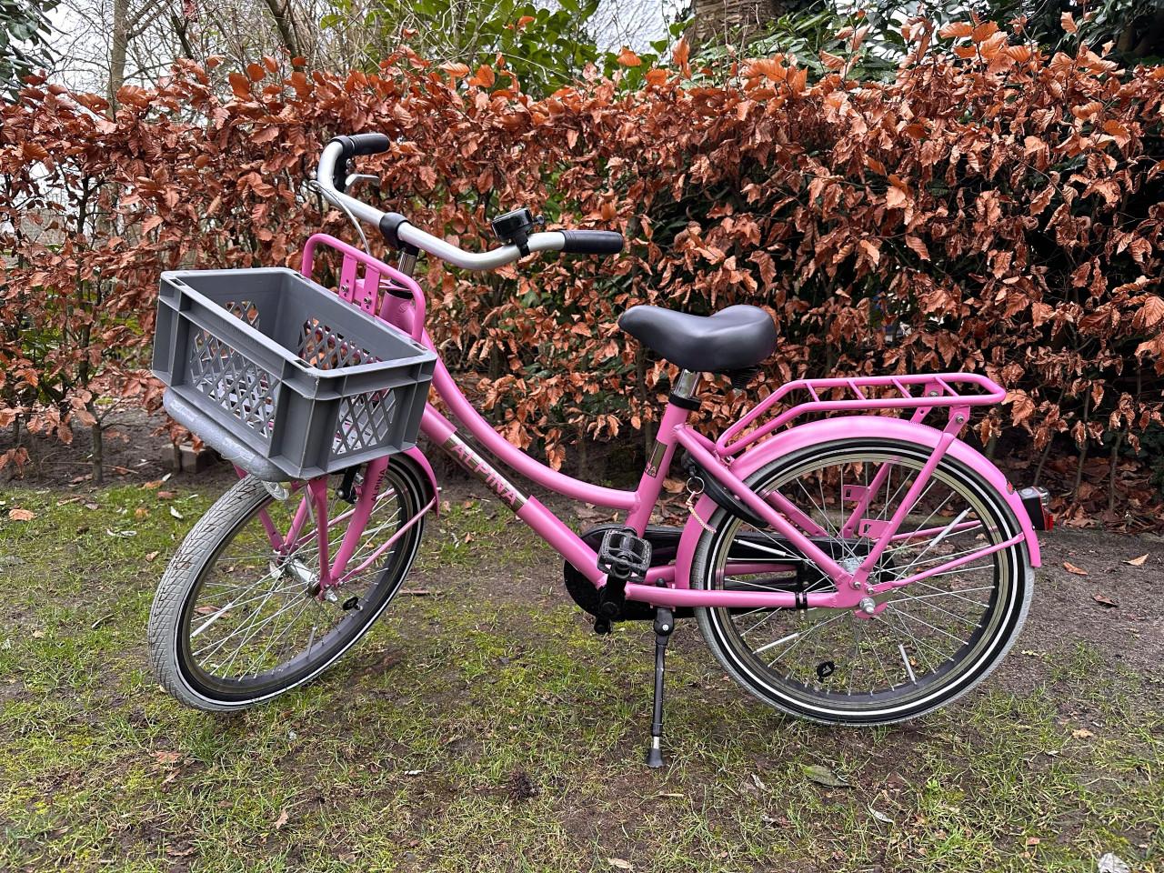 Meisjesfiets - 20 inch - Alpina Cargo Fuchsia Pink Matt
