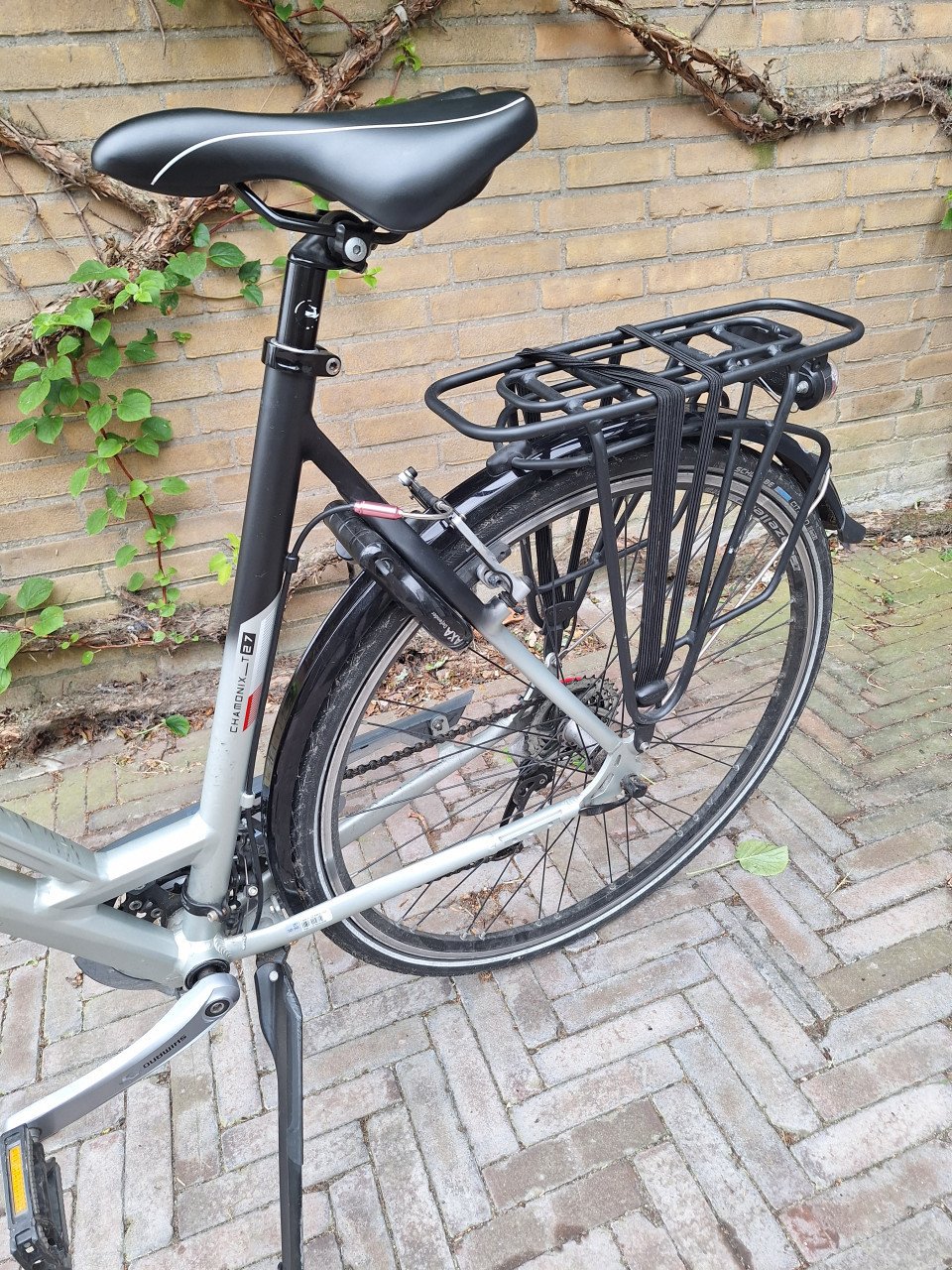 Gazelle damesfiets Chamonix Trekking T27