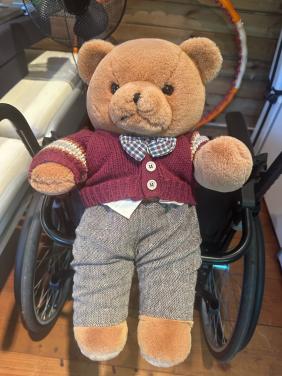 Teddybeer Bijenkorf