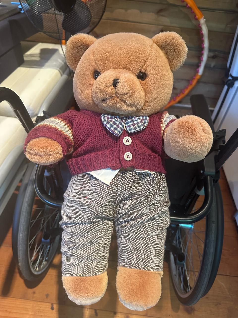 Teddybeer Bijenkorf
