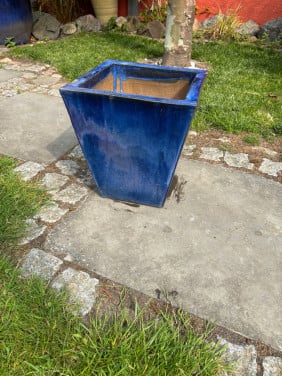 Plantenpot Te Koop