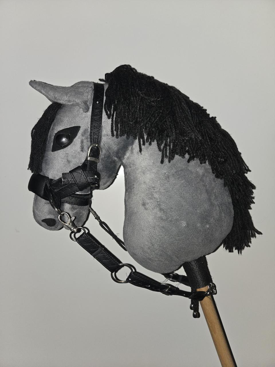 Hobbyhorse