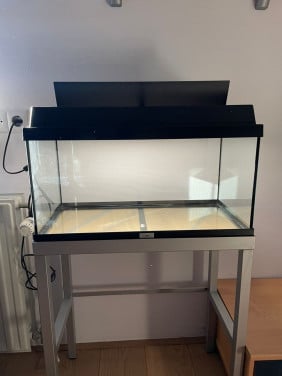 Aquarium