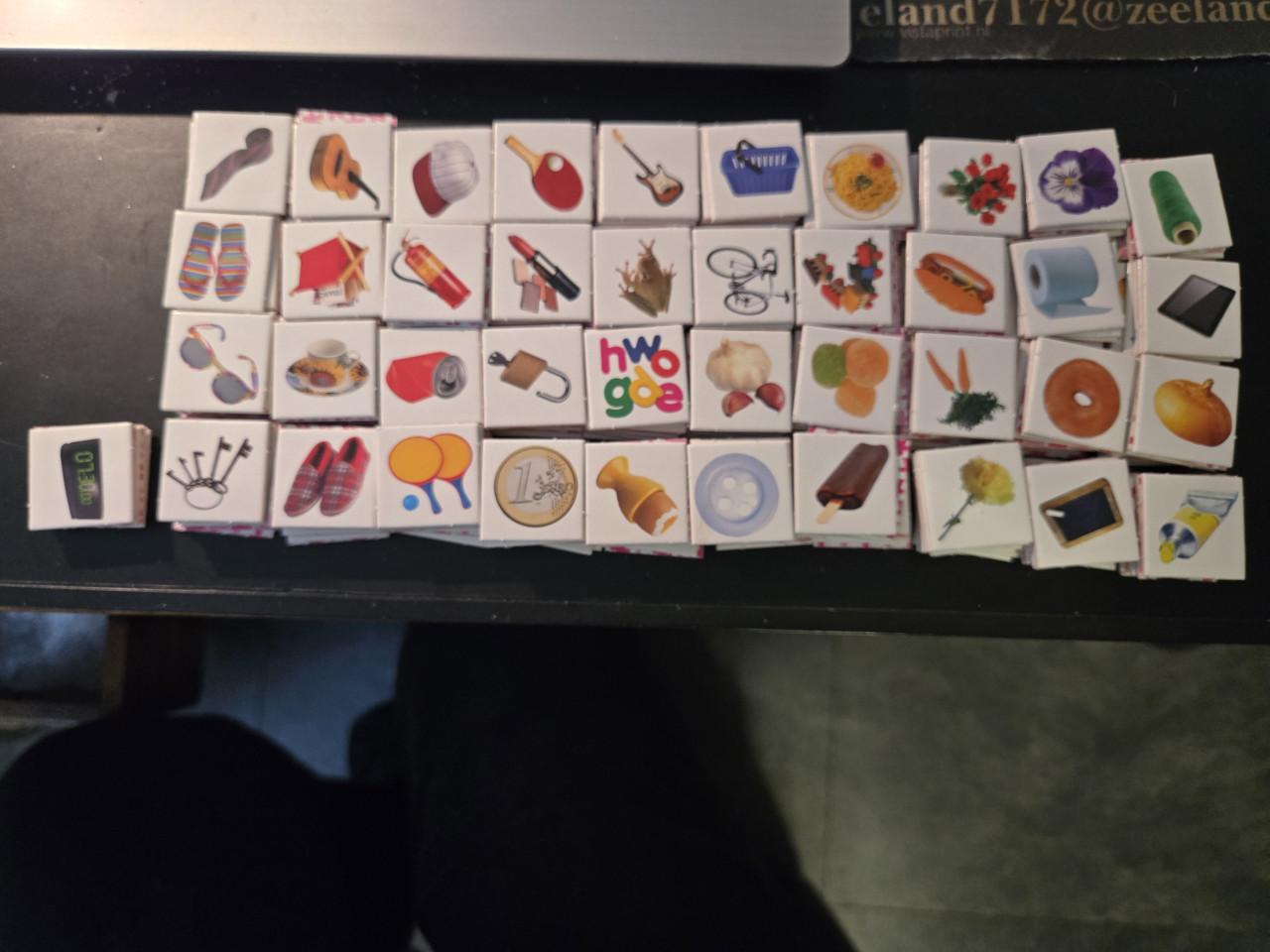 Educa Lynx bordspel, Zgan 6+ jaar