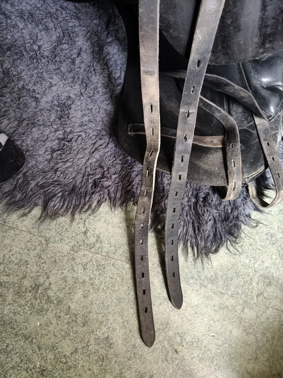 Kentaur Artemis 18,5 dressuur