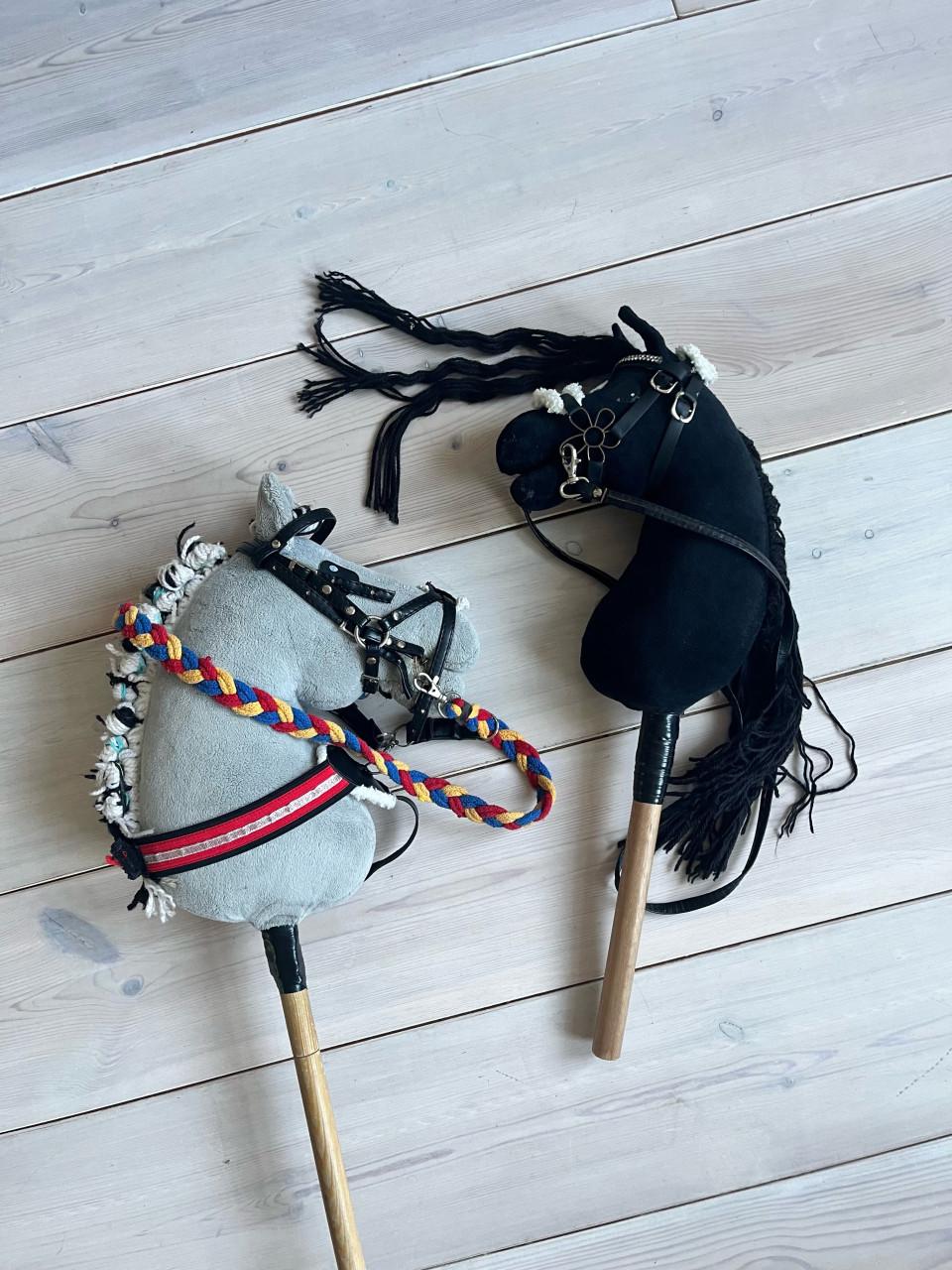 Leuk stokpaardje, kleine hobbyhorse zgan