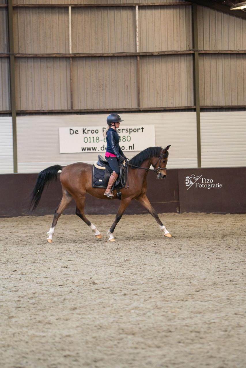 Brave 4 jarige ruin