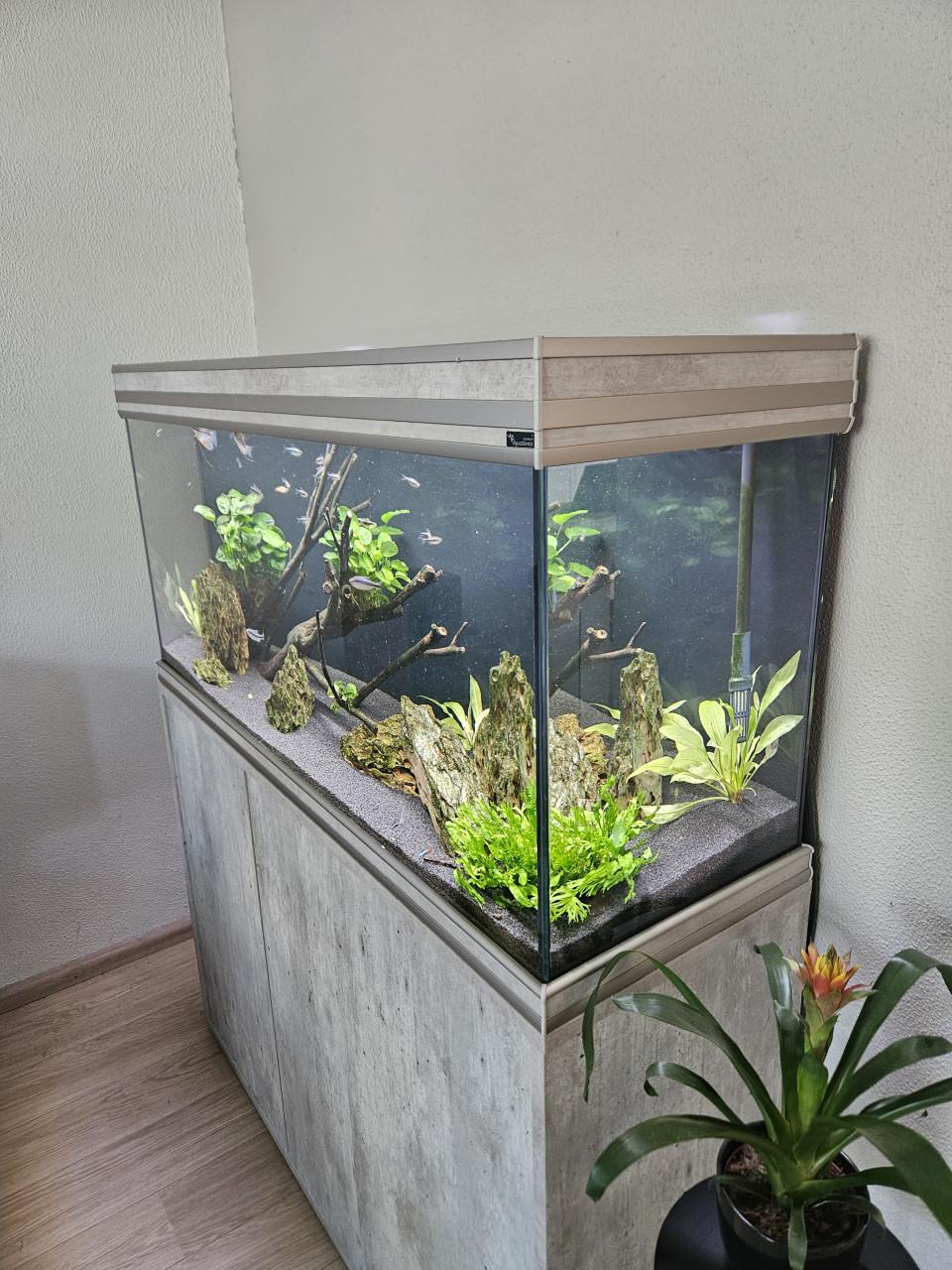 Aquarium 240l incl extern filter en CO2