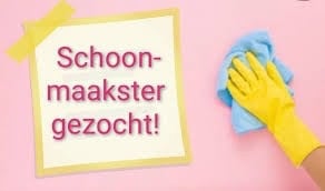 Betrouwbare schoonmaakster gezocht