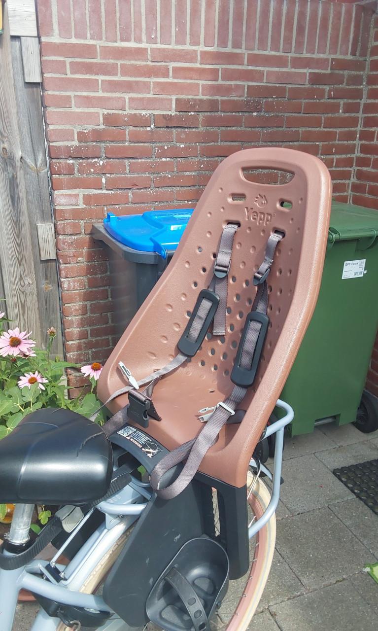 Thule Yepp Maxi Easyfit fietsstoeltje voor een max gewicht van 22 kg.