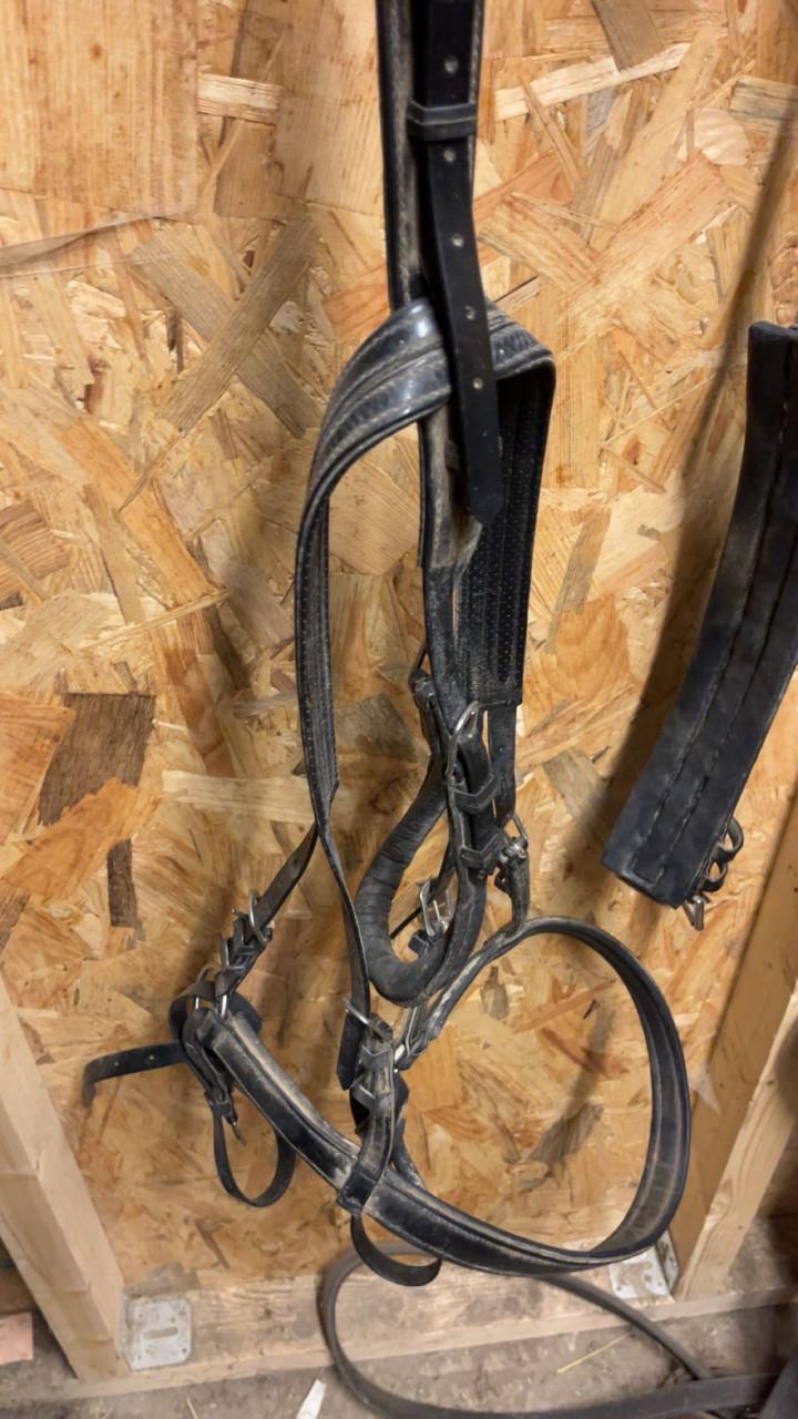 Mini shetlander tuig