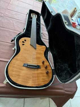 Te koop aangeboden: Cordoba Semi Acoustische gitaar